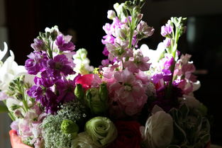 紙間花香 創意紙質鮮花，獻給親人生日的獨特禮物